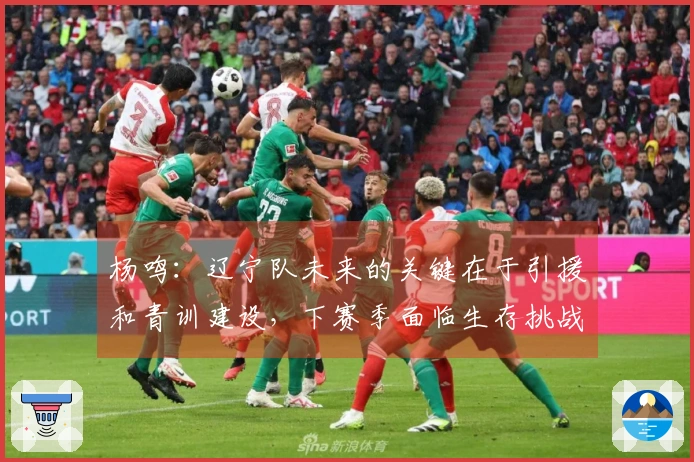 杨鸣：辽宁队未来的关键在于引援和青训建设，下赛季面临生存挑战